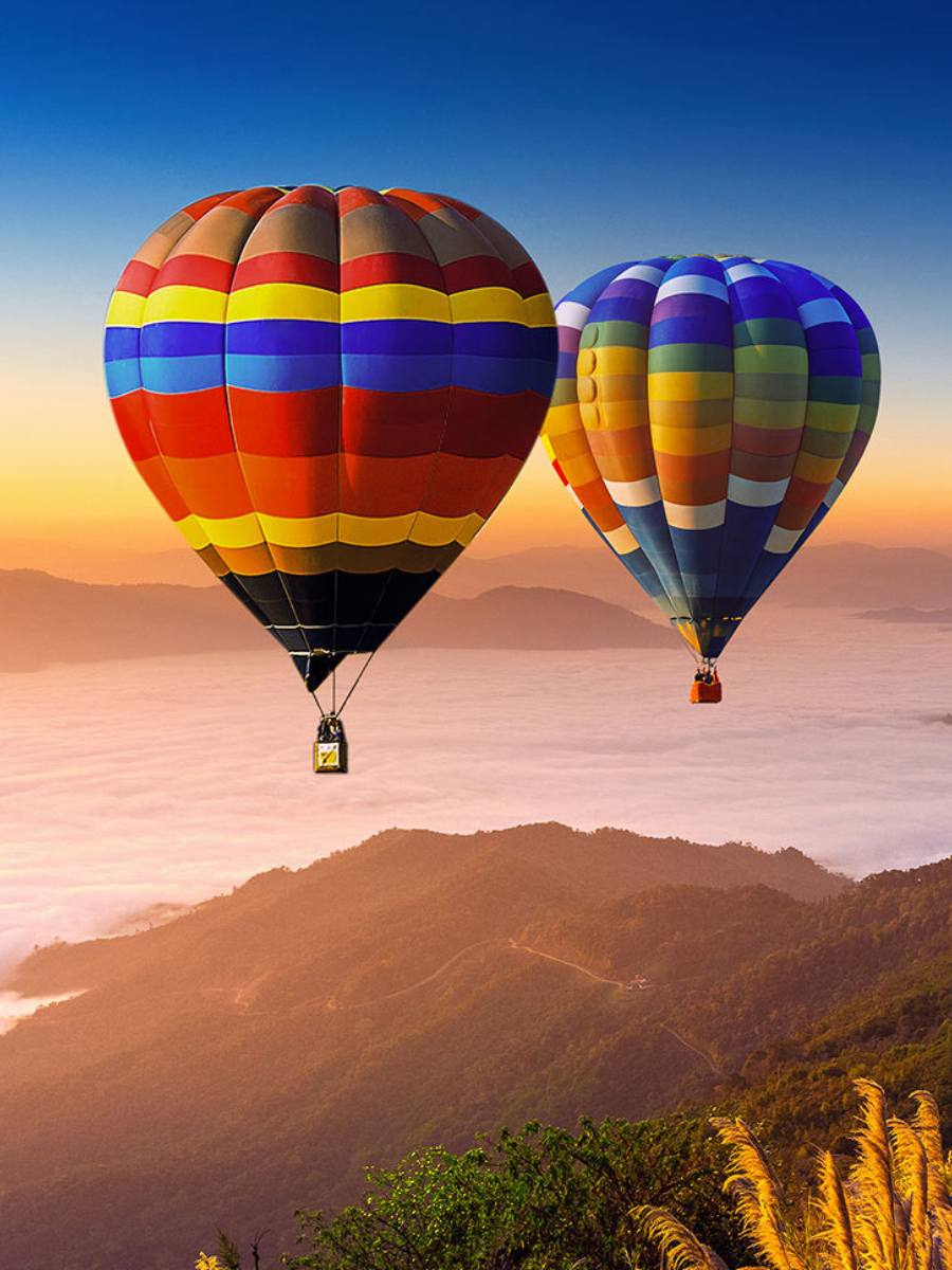 alhind holidays banner