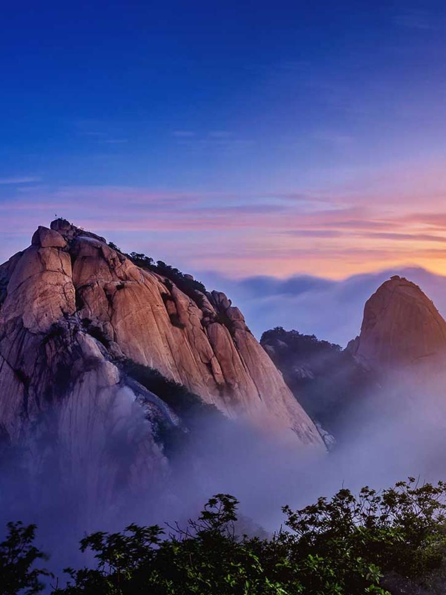 alhind holidays banner