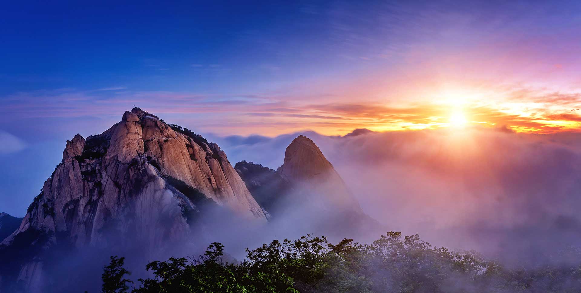 alhind holidays banner